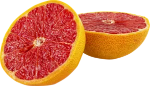 fruit g3bb23acf5 640 | Bio Rama Citrofit Organic sa C vitaminom 30 ml