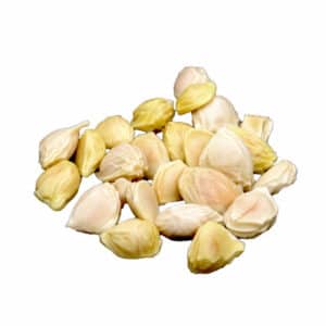 sjemenke grejpa | Bio-Rama Citrofit Organic 30 ml