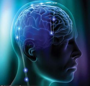 moze li psihoterapija mozak | Bio Rama Psihoterapije