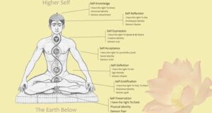 marma nadis chakras ayurveda yoga | Bio Rama Terapeutski dodir Marme - terapija kroz 108 točaka u tijelu