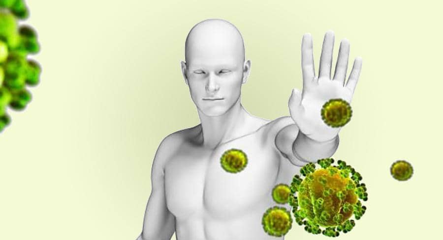 immunforsvar szd59458 0 gronn3 | Bio-Rama Klinčić – Moćni začin koji prevenira rak dojke, uništava parazite i regulira šećer (RECEPTI)