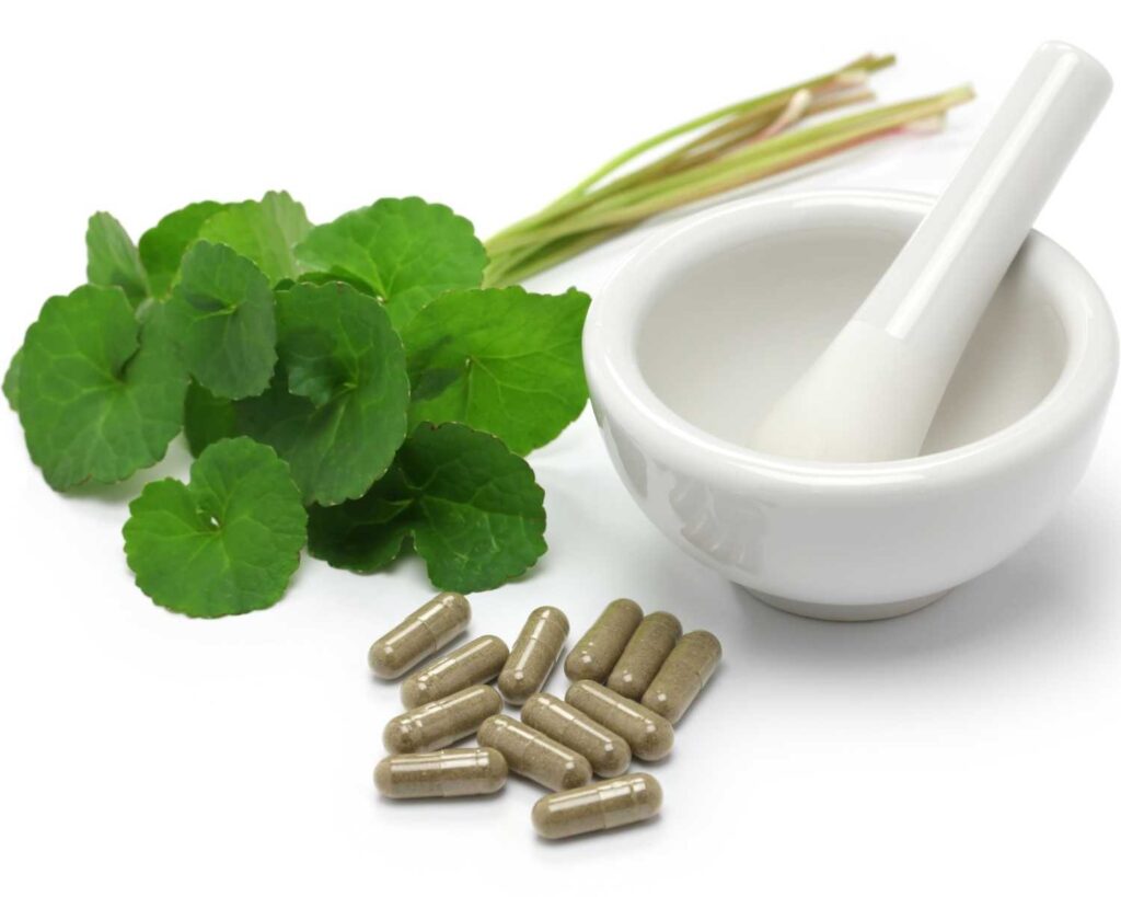 gotu kola 2a | Bio-Rama Gotu Kola (Centella asiatica): Nutritivna svojstva i uvjerljive zdravstvene prednosti
