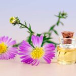prirodna kozmetika | Bio-Rama 14 svakodnevnih upotreba ulja čajevca