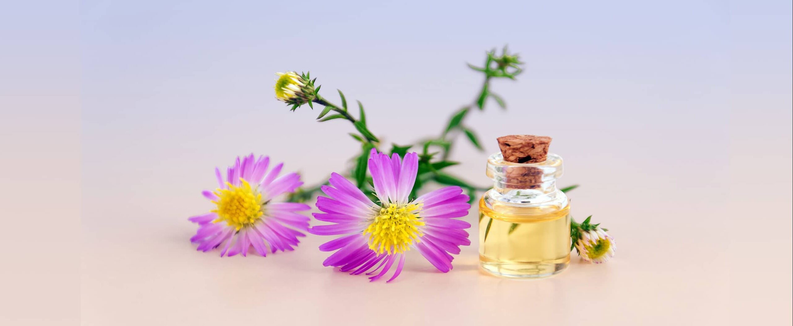prirodna kozmetika scaled | Bio Rama Što je ulje čajevca i kako se koristi?