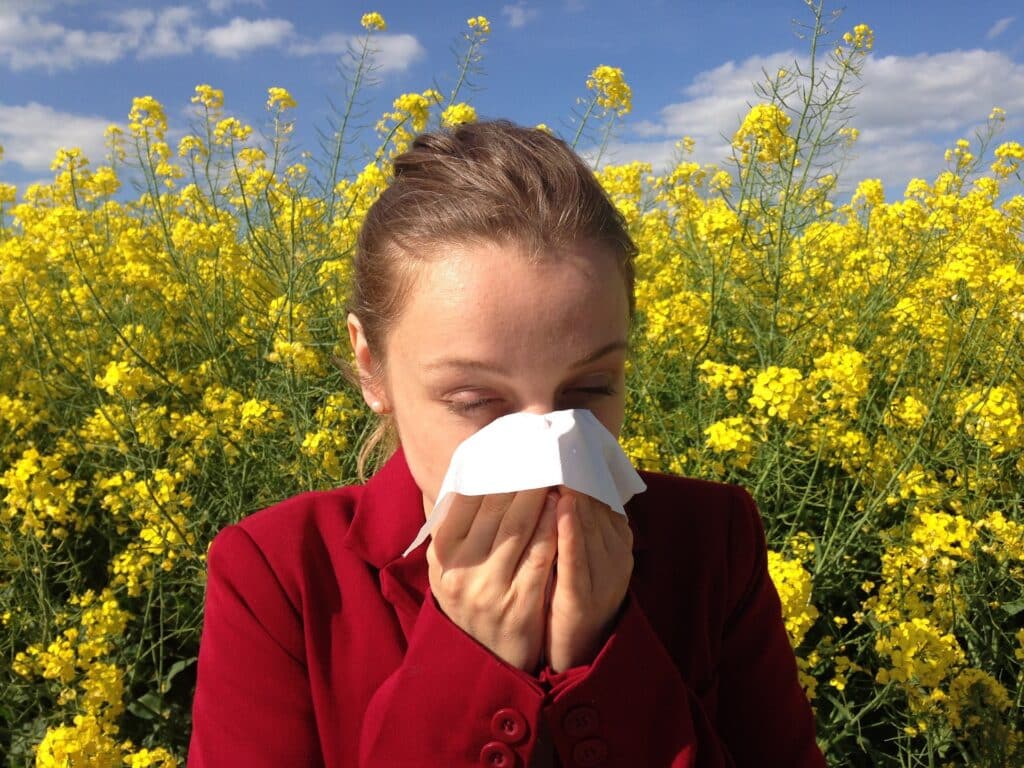allergy g2d4f1051b 1920 2 | Bio-Rama Alergija na ambroziju: Koji su simptomi i kako se liječi na prirodan način?