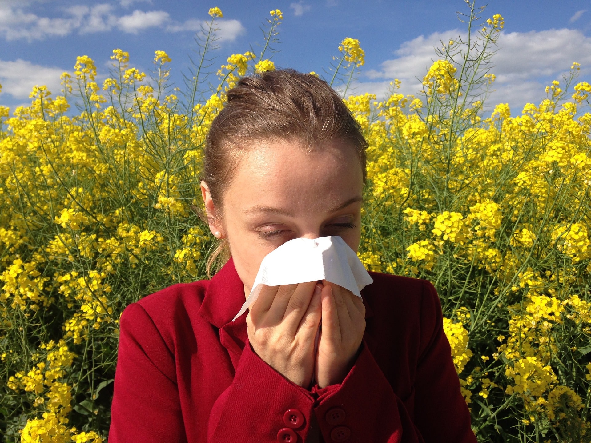 allergy g2d4f1051b 1920 2 | Bio Rama Alergija na ambroziju: Koji su simptomi i kako se liječi na prirodan način?