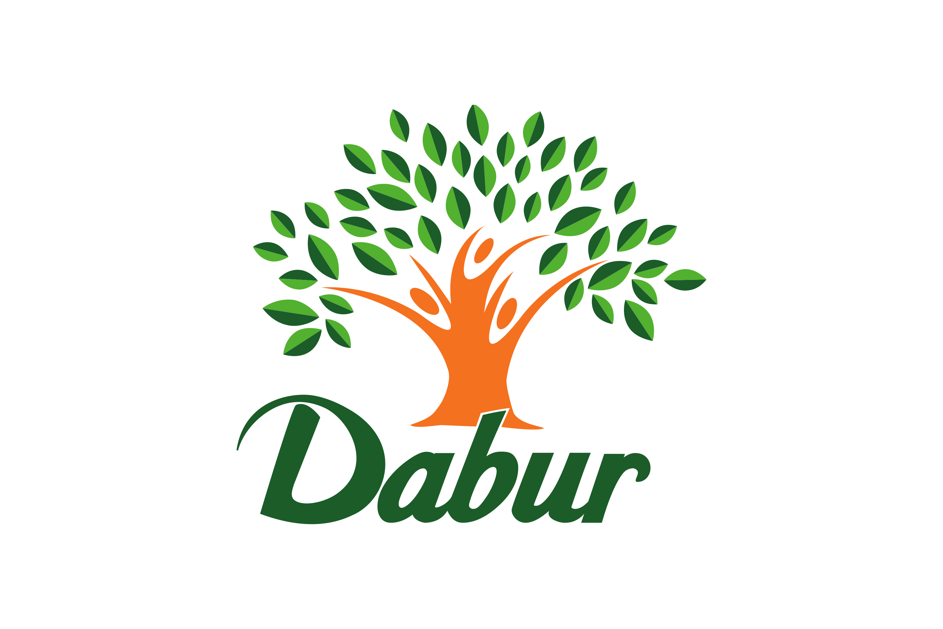 Dabur logo | Bio Rama Ayurvedski proizvodi i usluge