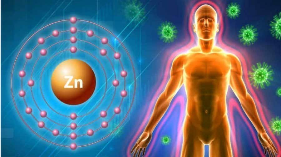 zink za organizam | Bio-Rama 5 prirodnih načina za jačanje imuniteta za sezonu prehlade i gripe !