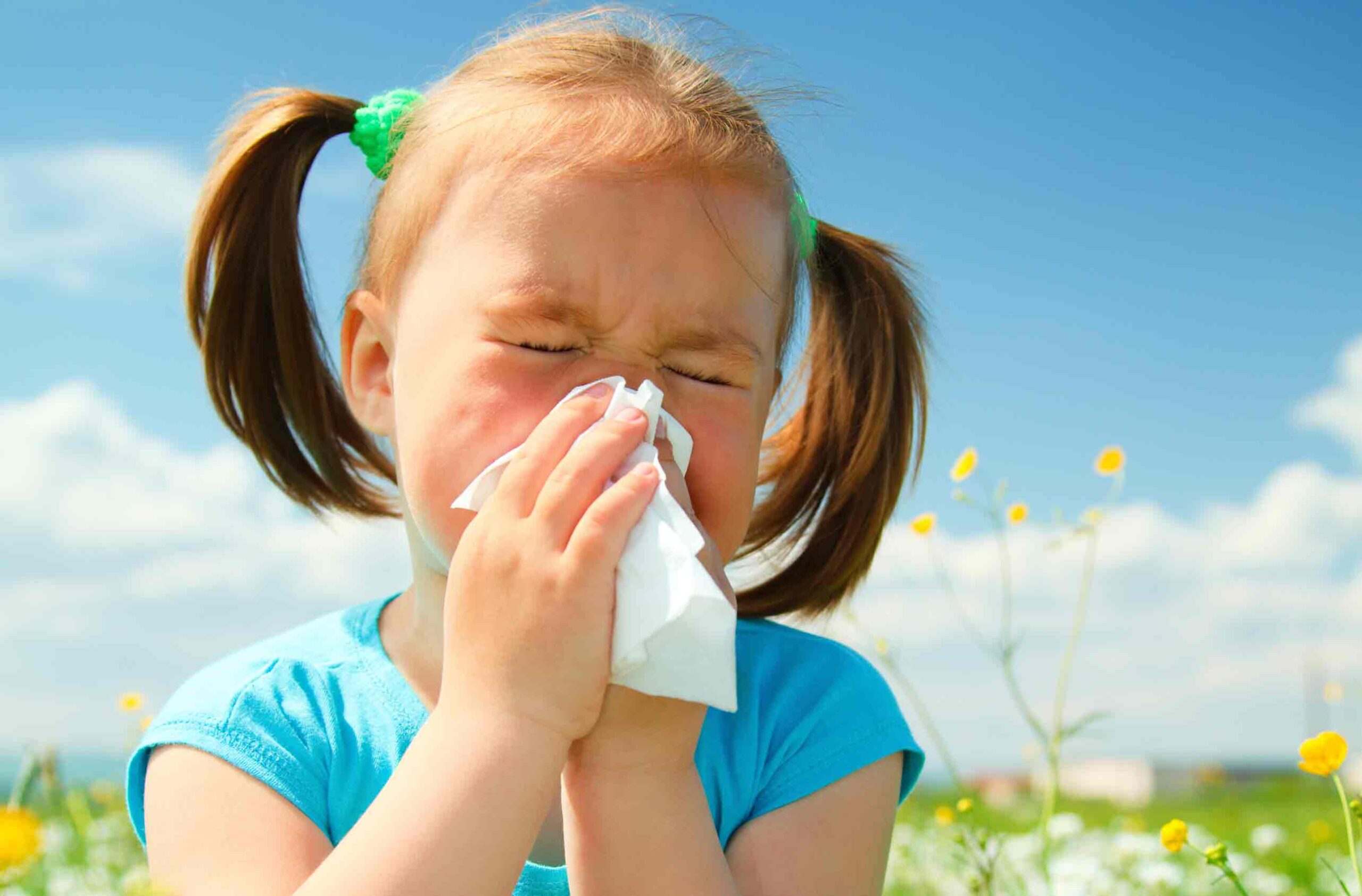 Allergies scaled | Bio-Rama Aergija ili prehlada, kako prepoznati kod dijece!