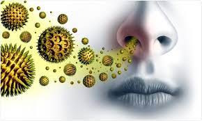 download | Bio-Rama Alergija na pelud! uzroci, simptomi i liječenje!