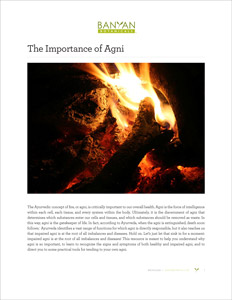 Važnost Agni PDF-a