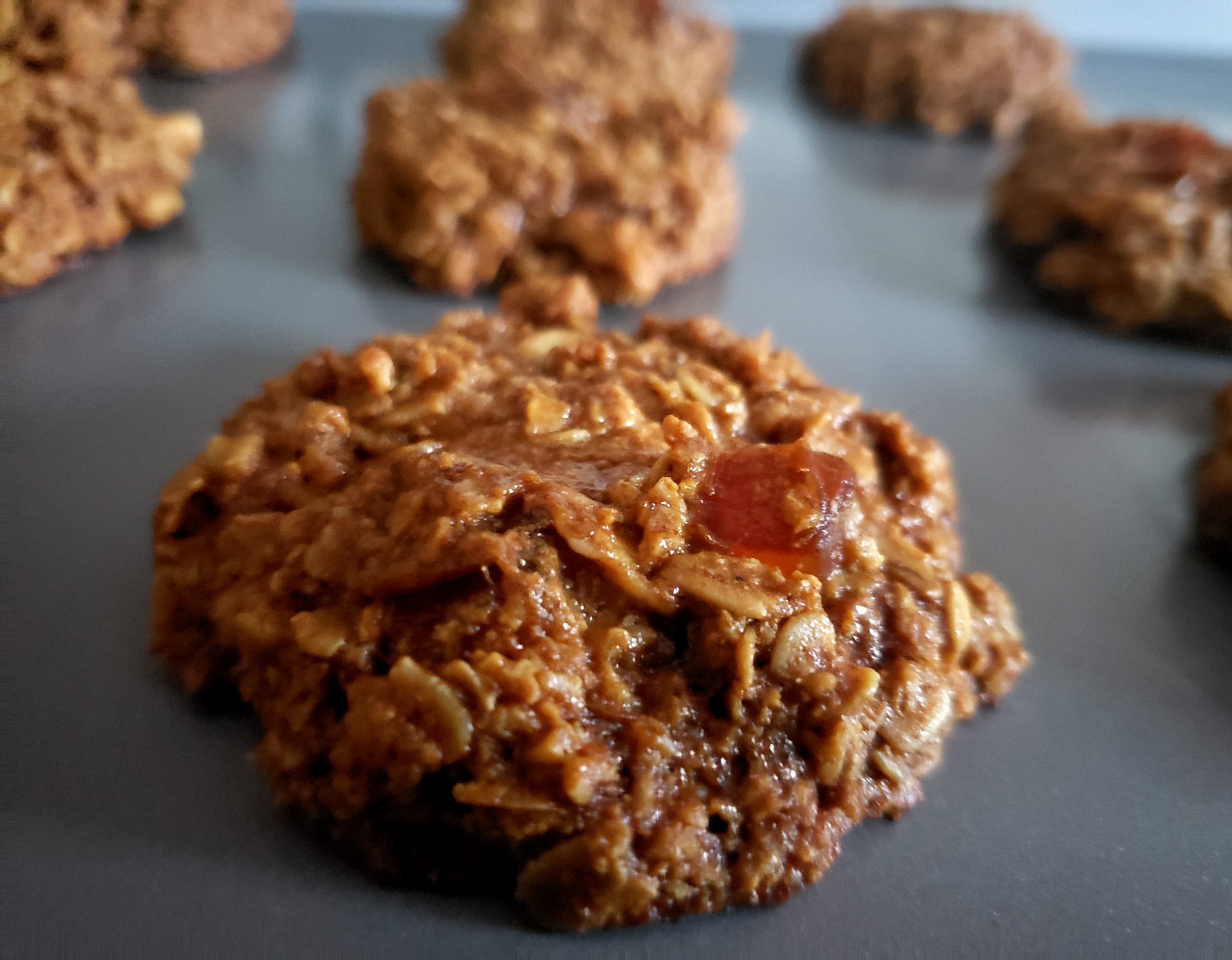 GFOatmealCookies scaled