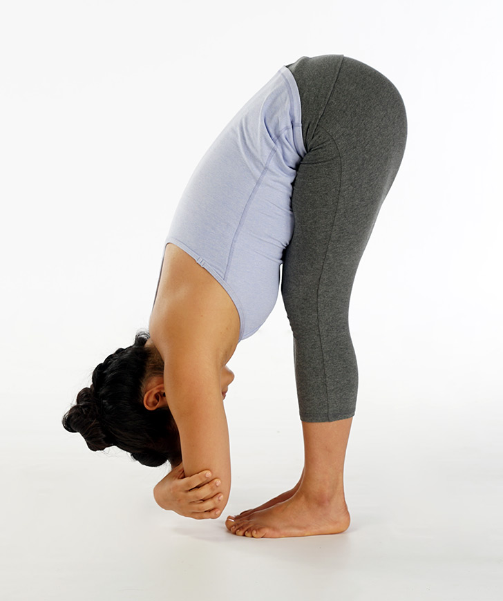 Ayurveda Pitta Pacifying Yoga Standing Forward Fold | Bio Rama Ayurveda Pitta-Pacifying Yoga: Standing Forward Fold