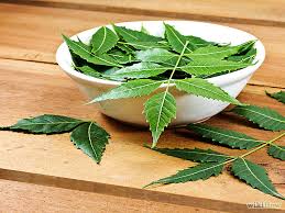 Neem Gorki tonik Ayurvede | Bio Rama Neem: Gorki tonik Ayurvede