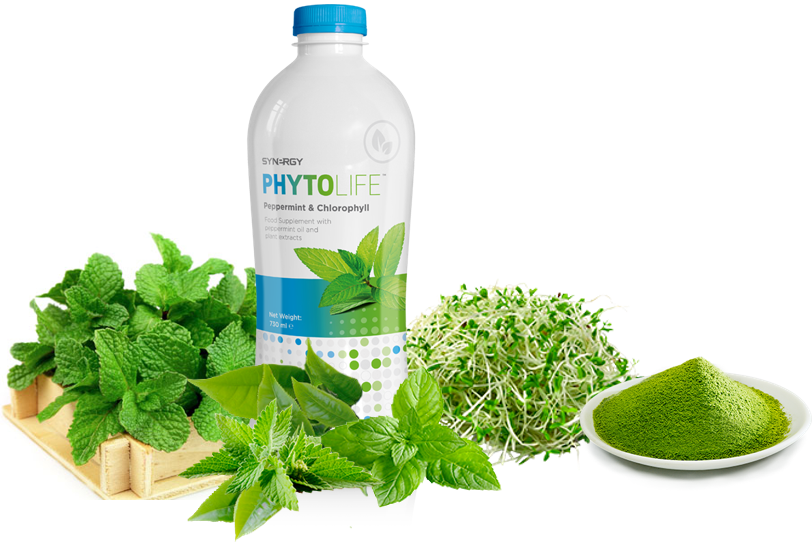 Synergy ​PhytoLife 730ml