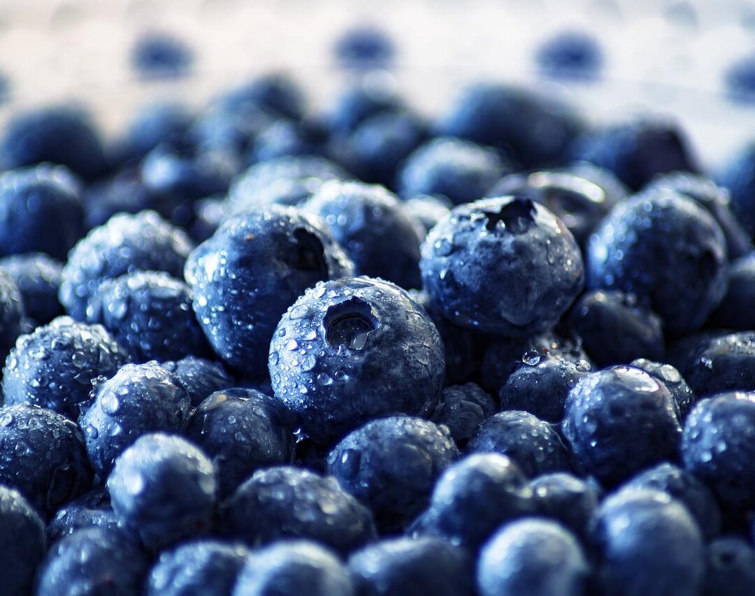 Praznik borovnic 2023 | Bio Rama ALOE VERA ESI® SOK od lista prave aloje, obogaćen medom i sokom od plodova borovnice 1L